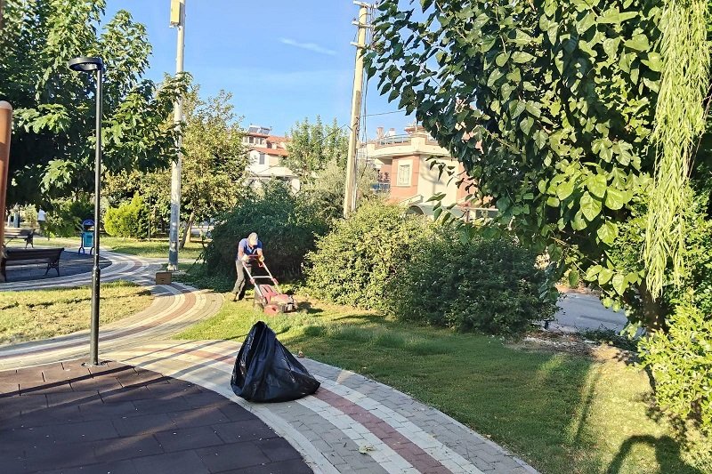 Menderes’te Yabani Otla Mücadele Sürüyor