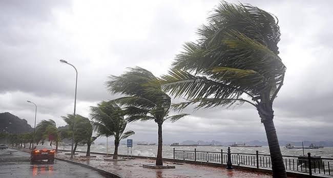 İzmir için fırtına uyarısı