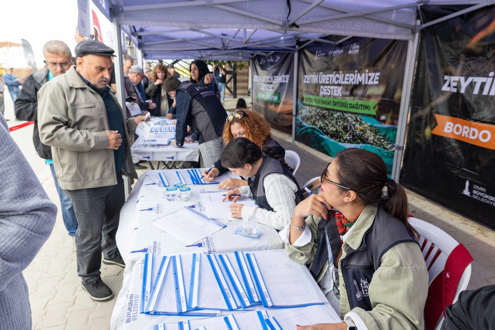 Zeytinde ortak akıl sahaya taşınıyor