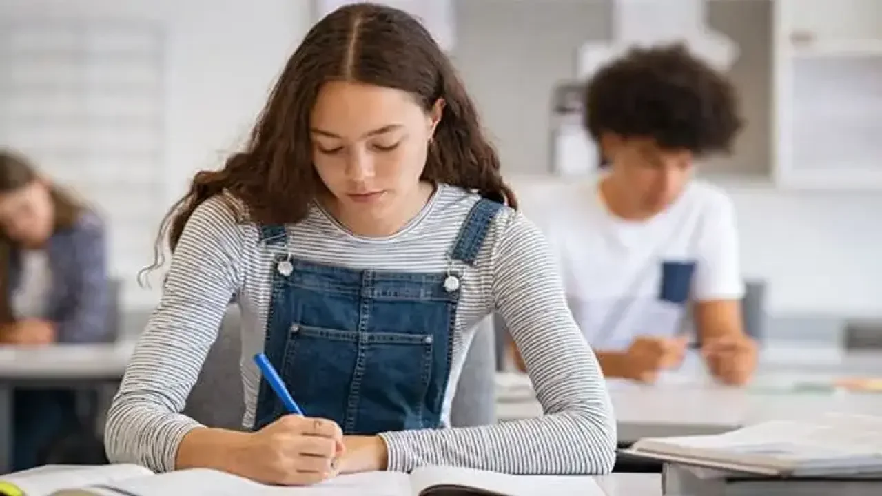 Kişiye özgü eğitim modeli ne demek? Her öğrenciye ayrı program yeterli mi?