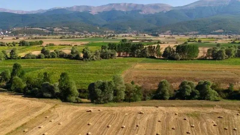 İzmir’de 30 mahallede tarım arazilerine düzenleme!
