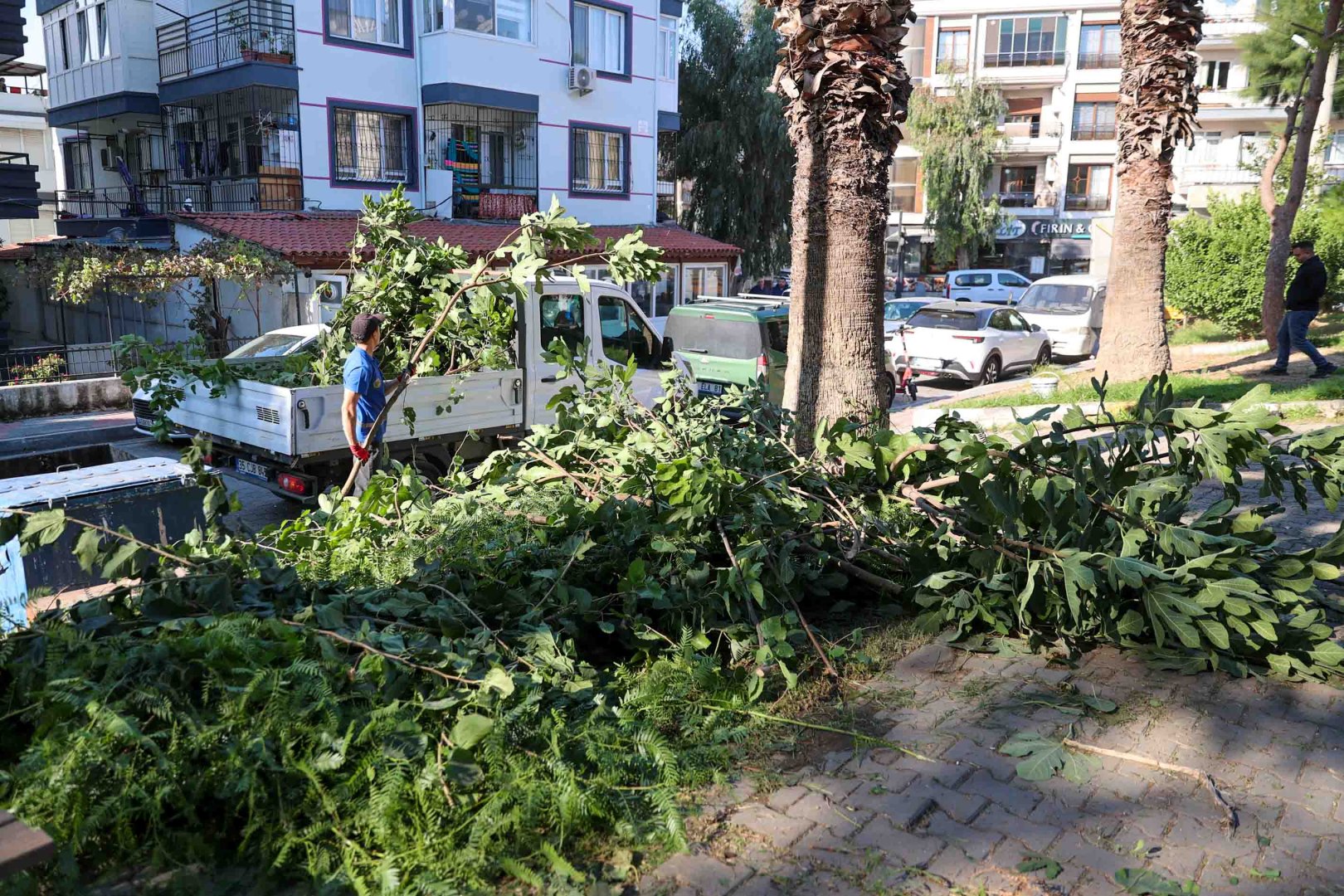 Buca’nın yeşil alanlarına sonbahar bakımı