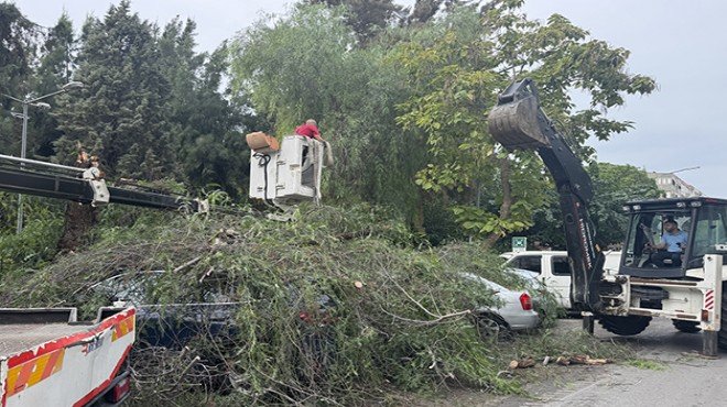 Karşıyaka'da faciadan dönüldü: 4 otomobil hasar gördü