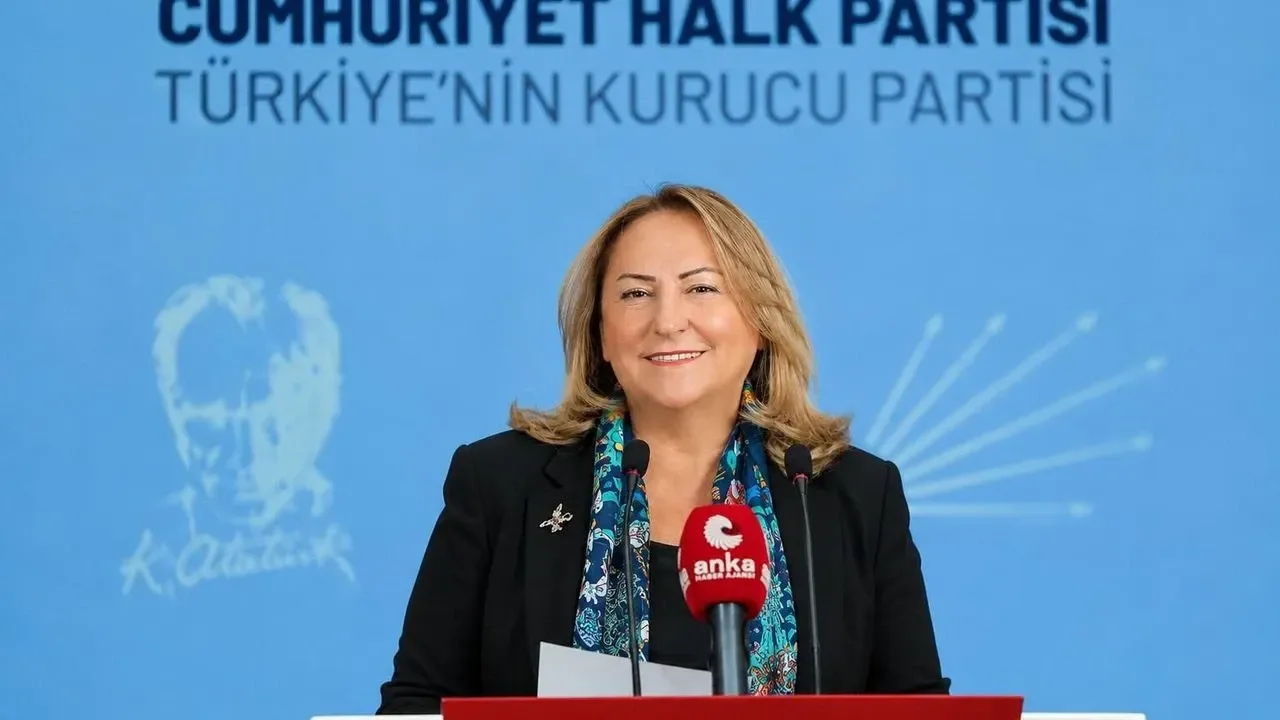 CHP'li Gülsever'den 'basın özgürlüğü' mesajı: Kararlılıkla savunacağız!