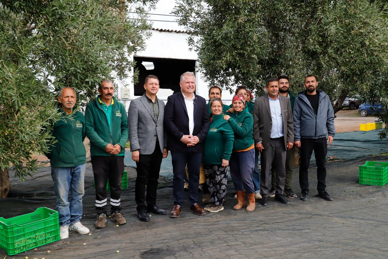 Urla’da zeytinin bereketi sanatla buluşuyor