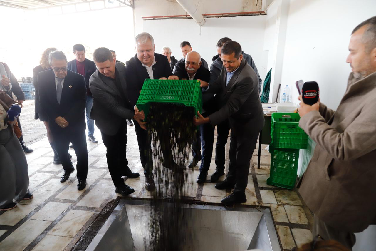 Urla’da zeytinin bereketi sanatla buluşuyor